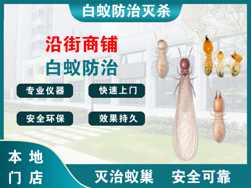 绍兴市沿街商铺白蚁防治