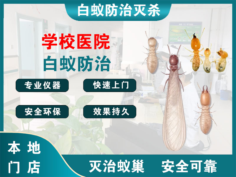 绍兴市学校医院白蚁防治
