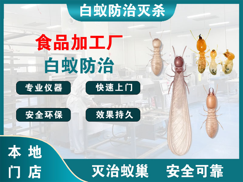 绍兴市食品加工厂白蚁防治
