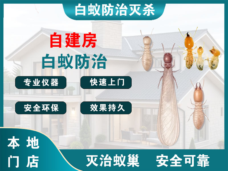 绍兴市自建房白蚁防治