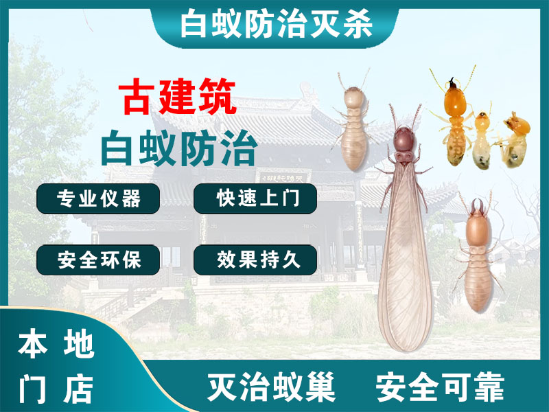 绍兴市古建筑白蚁防治
