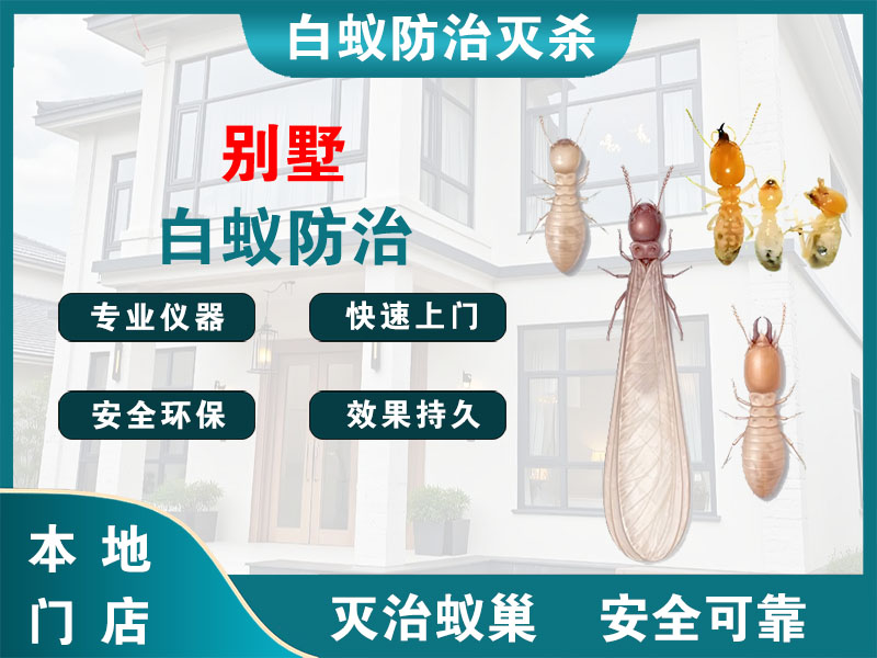 绍兴市别墅白蚁防治