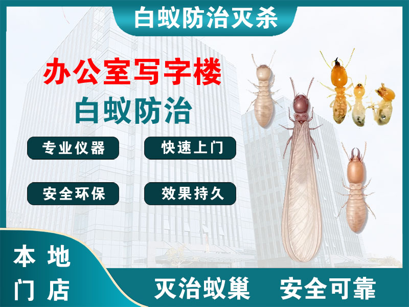 绍兴市办公室写字楼白蚁防治