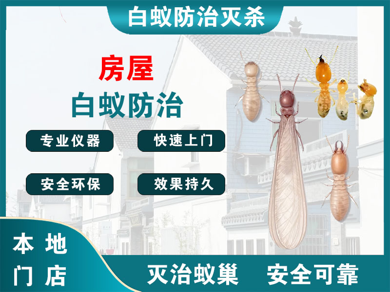 绍兴市房屋白蚁防治